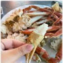 바다를담다 이미지