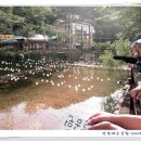 천국은불타고있다 이미지