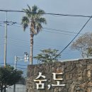 숨도 귤림성 | [ 제주 명소 ] 겨울 제주 동백꽃 보려면 여기가 최고｜제주 서귀포에 위치한 숨도, 귤림성 후기