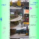 구례북초등학교 이미지