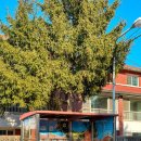 용산-서빙-221 이미지