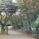 남조봉공원 이미지