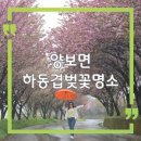 양보면사무소 이미지