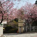 배화학교 이미지