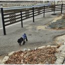 느린오후 이미지