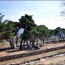 호텔한밤 이미지