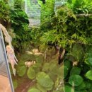 판교점 기아오토큐 이미지