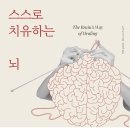 메디치유