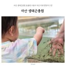 아산 생태곤충원 동물원 나들이 아산 그린타워 전망대 구경