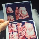 CM Fitness | 28주차 배크기/소화불량과 식도염/입체초음파/기저귀갈이대/야구로 스트레스 안 받는 법