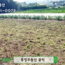 황금의땅공인중개사사무소 이미지