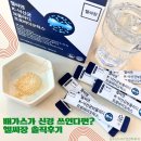 K.O 생활환경 | 배가스 때문에 시작한 헬씨장 유산균추천 낙산균 섭취 후기