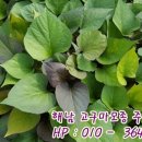 종순농장 이미지