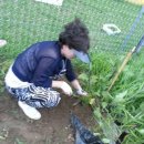 봉하어린이집 이미지