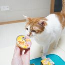요로꼬비야 | 고양이 주식캔 미유믹스 리얼, 심플서빙 급여후기
