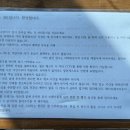 포항수영장 | 포항 대형숙소 오도361 내돈내산 | 수영장 있는 포항 감성숙소, 4가족 단체여행 후기