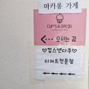 컵스앤다쿠