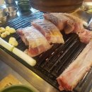 금.돼지식당
