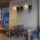 윈플러스약국 이미지