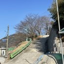 마도오토바이