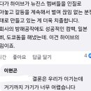 어도어 측 "특정 법조인 발언으로 하이브 비판…'반론권 無' 유감" [공식입장] 이미지