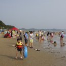 안면도발리 이미지