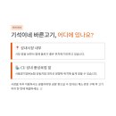 성내 양돈 이미지