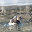 우주 행정사 사무소 이미지