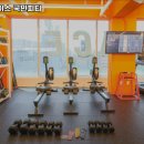 피버 플레이스(국민 피티) 이미지