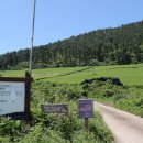 서광리-9 이미지