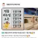 멍줍강아지산책유치원 이미지