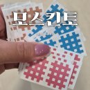 모기알레르기 있을때 모기물렸을때 필수품이야! 모스킨토 패치