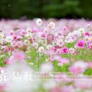 반포원주 네이버블로그