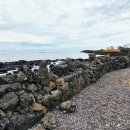 북촌환해장성 이미지