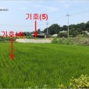 여주-1097 네이버블로그