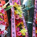 구포장터