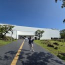 제주 스누피 가든(2025. 10. 06) 이미지