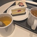 투썸플레이스 송도해수욕장점 | 부산 송도 투썸플레이스 후기 🍓 바다 보며 먹는 딸기요거트생크림케이크