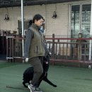 김포애견클럽 이미지