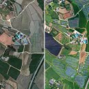 숲 태양광발전소 이미지