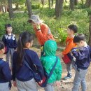 조하유치원 이미지