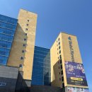 진두마을회관 | 여수까지 2박 3일 돼지런한 맛집 투어 헤이븐 호텔 딸기모찌 여수당 벽화마을 회정식 게장 갈치조림 먹부림