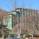 홍천자연랜드 | 홍천 비발디파크 썰매장 완벽, 코스별 이용팁부터 키제한 그리고 준비물까지 총정리 해봤어요.