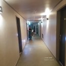 해너울 | [제주 호텔] 제주 숙박 사조리조트 1박 + 조식 솔직한 후기