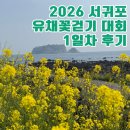 오션네트웍스(주)동백지점 | 서귀포 유채꽃 걷기대회 1일차 실시간 후기, 벚꽃 대신 노란 봄바다를 걷다-코스·신청·시간
