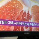 심혈관질환 도움 쓴맛.자몽/천기누설/온라인수련/선수련/기치유/자연요법/대체의학 이미지