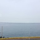 제주도두해수파크 이미지