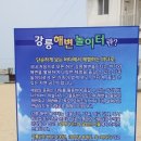 더 아라