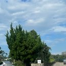 스테이애옥 이미지