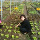 이현숙농장 이미지